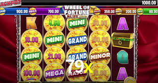 79x